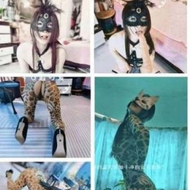 重庆猫老师