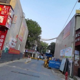 武汉扫街